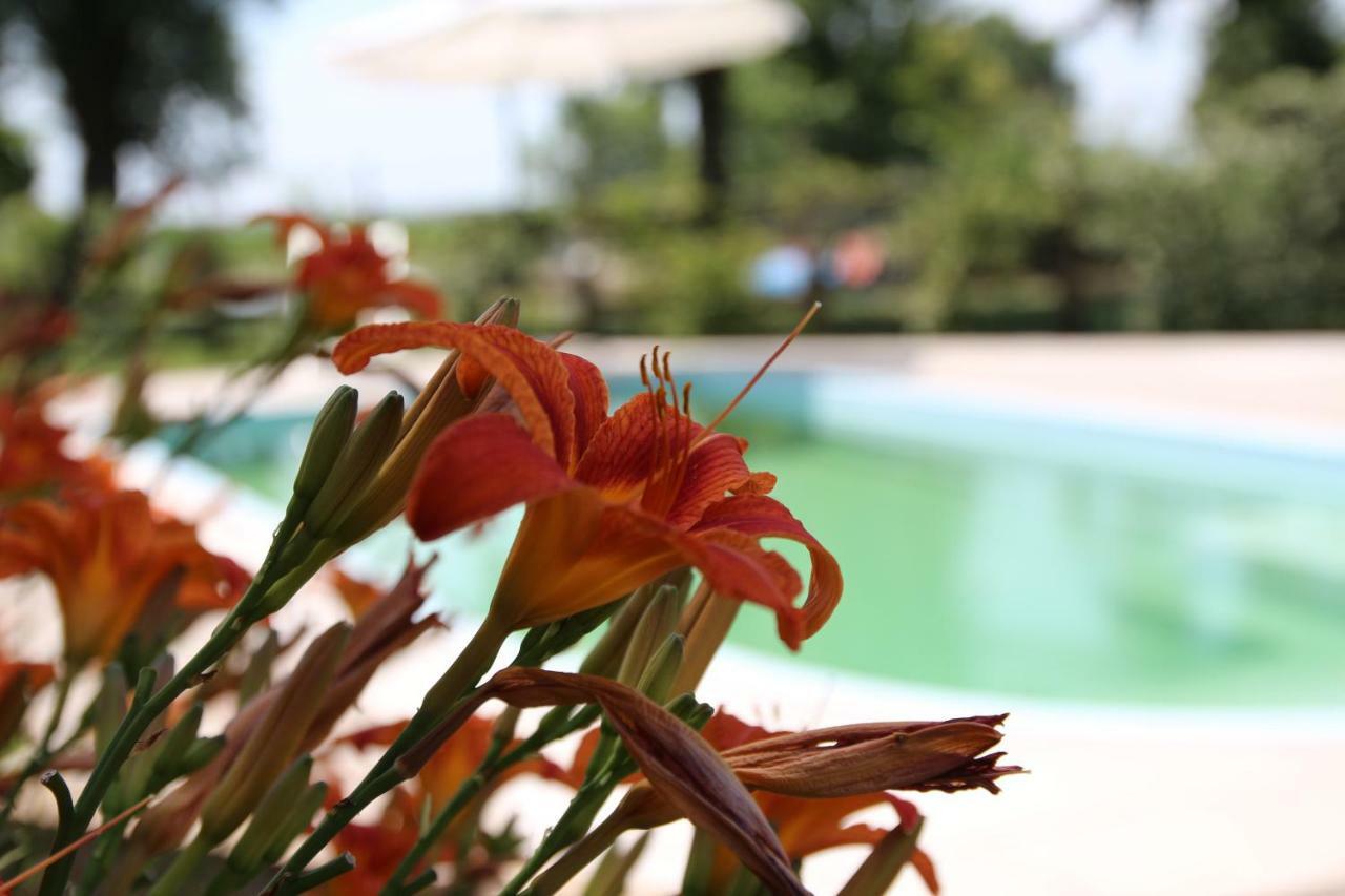 Agriturismo Ca' Alleata Caorle Exterior foto